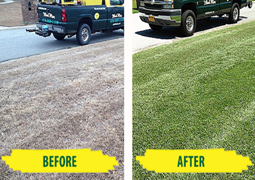 Revitalized Lawn - Weed Man